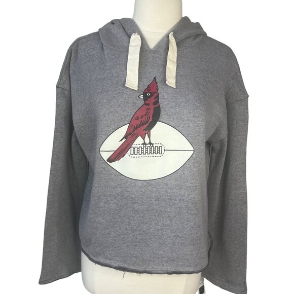 NFL Arizona Cardinals Logo Hoodie Sweatshirt Womens Medium Gray New - Picture 1 of 11